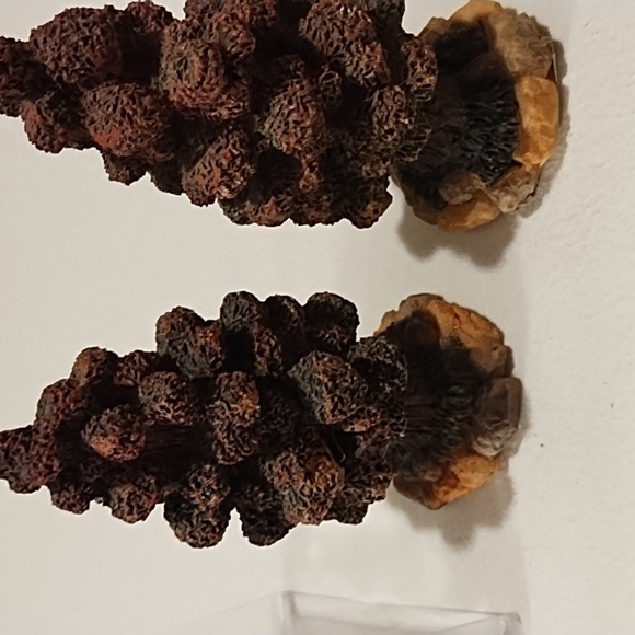 Autumn village trees - Picture 4 of 10